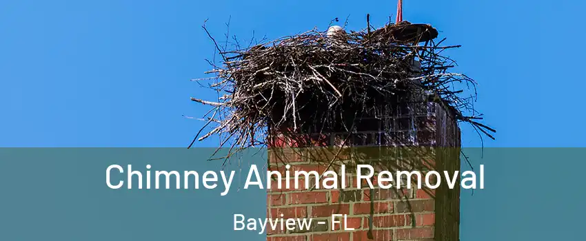 Chimney Animal Removal Bayview - FL