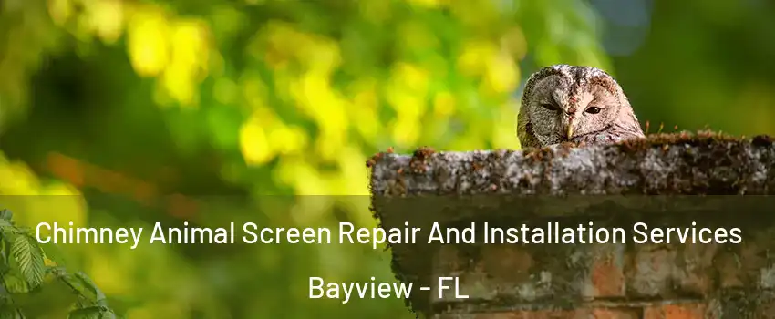 Chimney Animal Screen Repair And Installation Services Bayview - FL