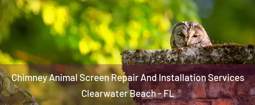 Chimney Animal Screen Repair And Installation Services Clearwater Beach - FL