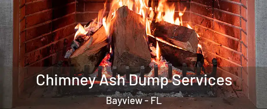 Chimney Ash Dump Services Bayview - FL