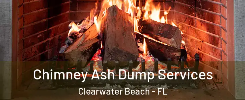 Chimney Ash Dump Services Clearwater Beach - FL