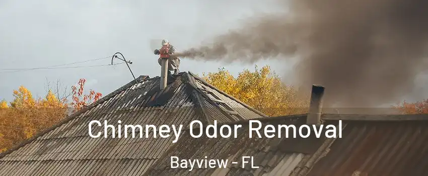 Chimney Odor Removal Bayview - FL