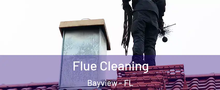 Flue Cleaning Bayview - FL