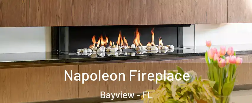 Napoleon Fireplace Bayview - FL