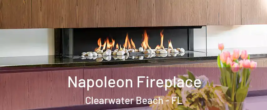 Napoleon Fireplace Clearwater Beach - FL